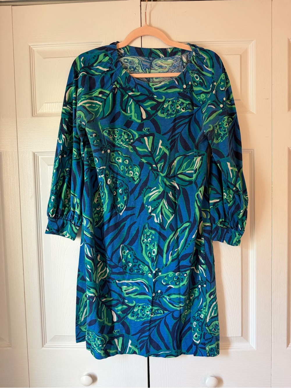 Lilly Pulitzer Blue and Green Tropical Mini Dress